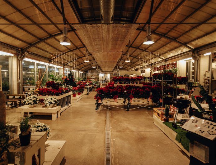 Торговые площади: как выбрать идеальный объект и договориться на лучших условиях